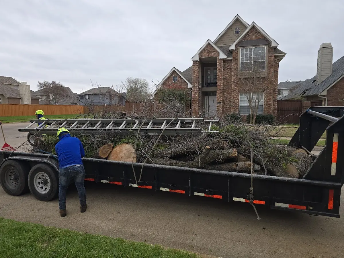 Expert Tree Fertilization with proper safety equipment in Fort Lauderdale